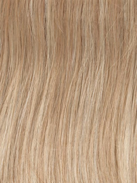 Forever Chic Wig by Gabor | Synthetic (Lace Front)