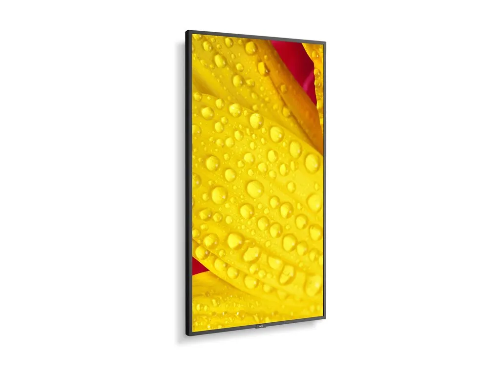 NEC MultiSync M651-2 - 65 Diagonal Class (64.5" viewable) - M Series LED-backlit LCD display - digital signage - 4K UHD (2160p)