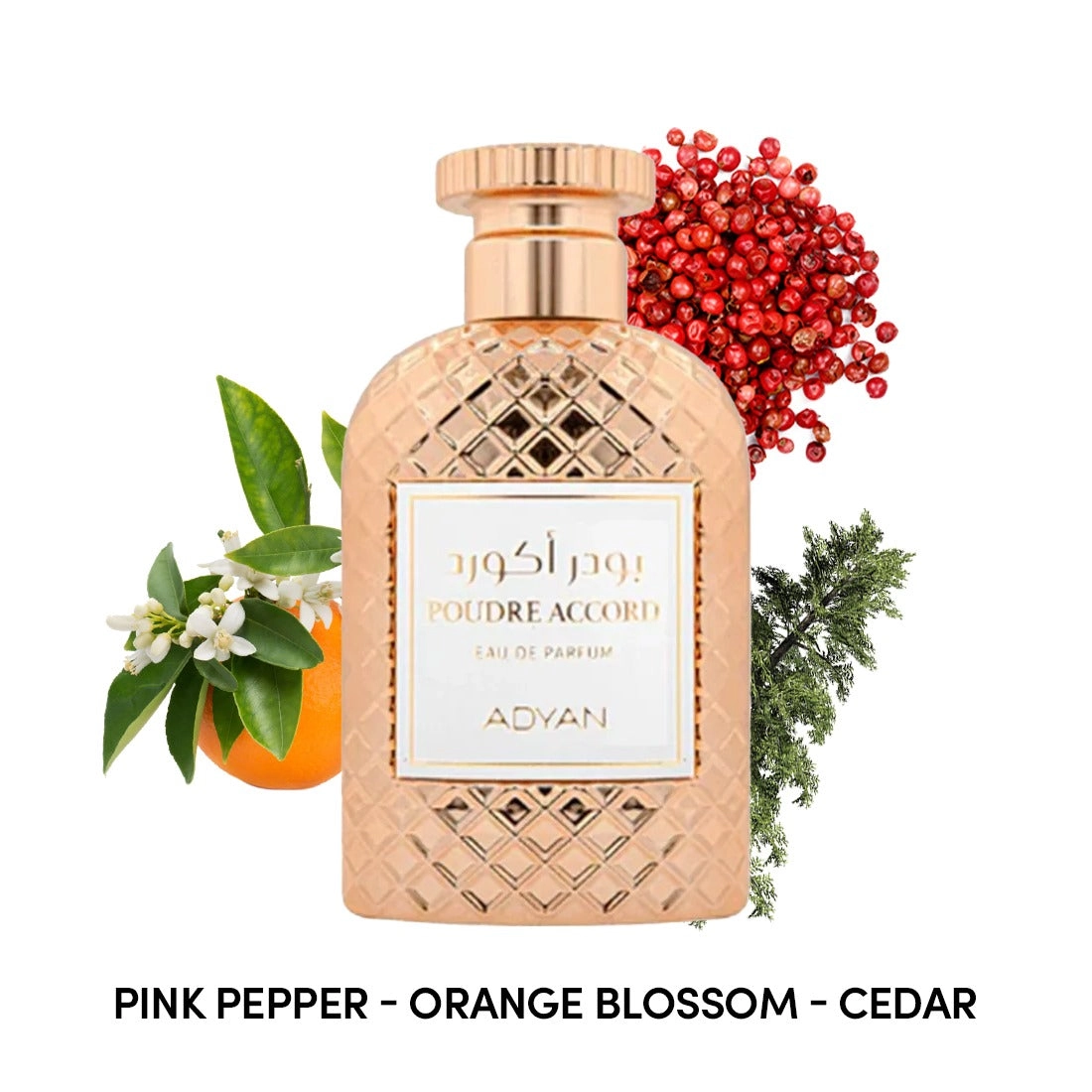 Poudree Accord By Adyan Eau De Parfum Spray 3.4 oz